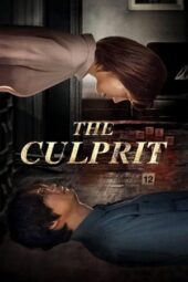 Nonton Film The Culprit (2019)