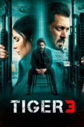 Nonton Film Tiger 3 (2023)